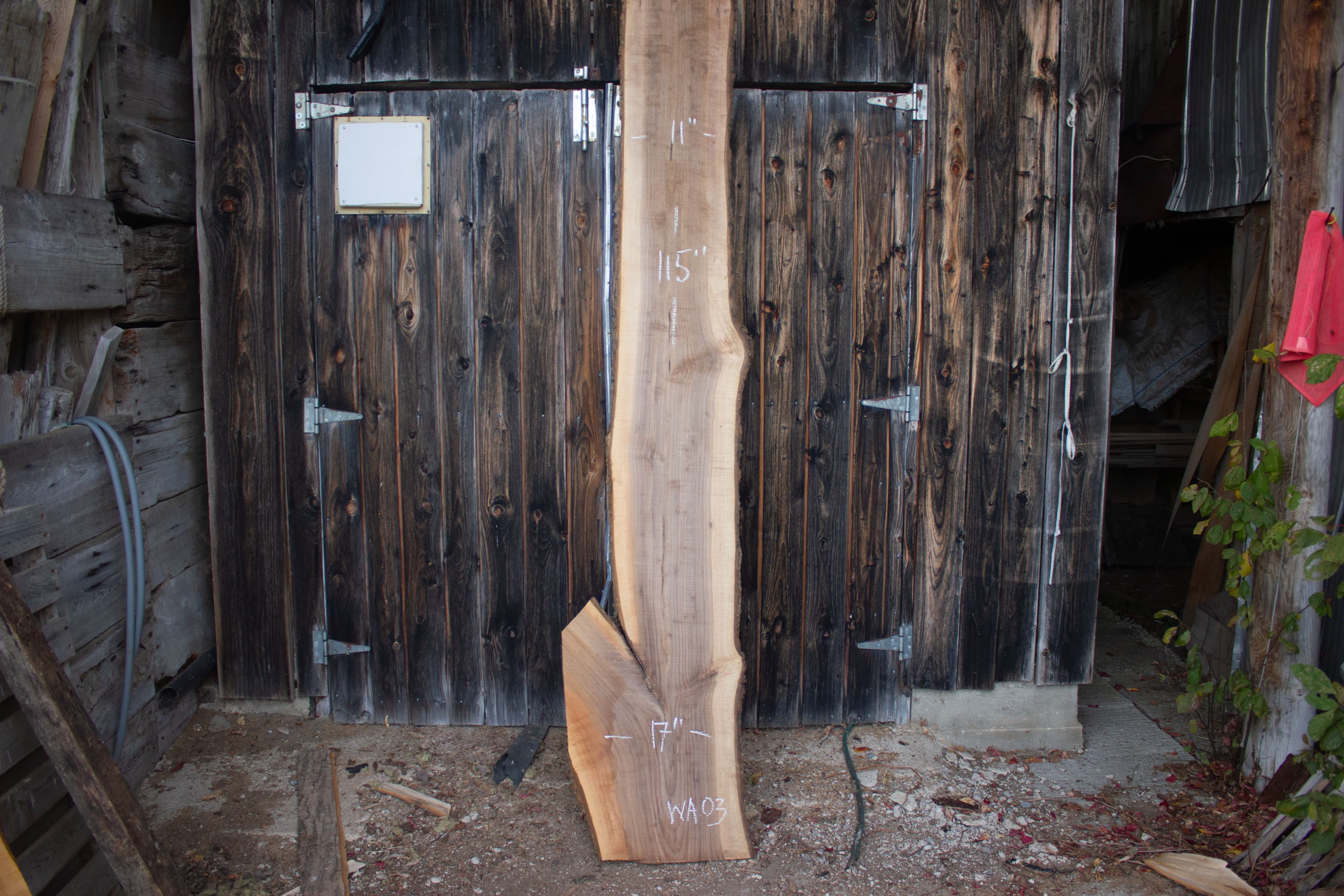 Black Walnut live edge slab - Black Walnut Live Edge Slab main view WA03