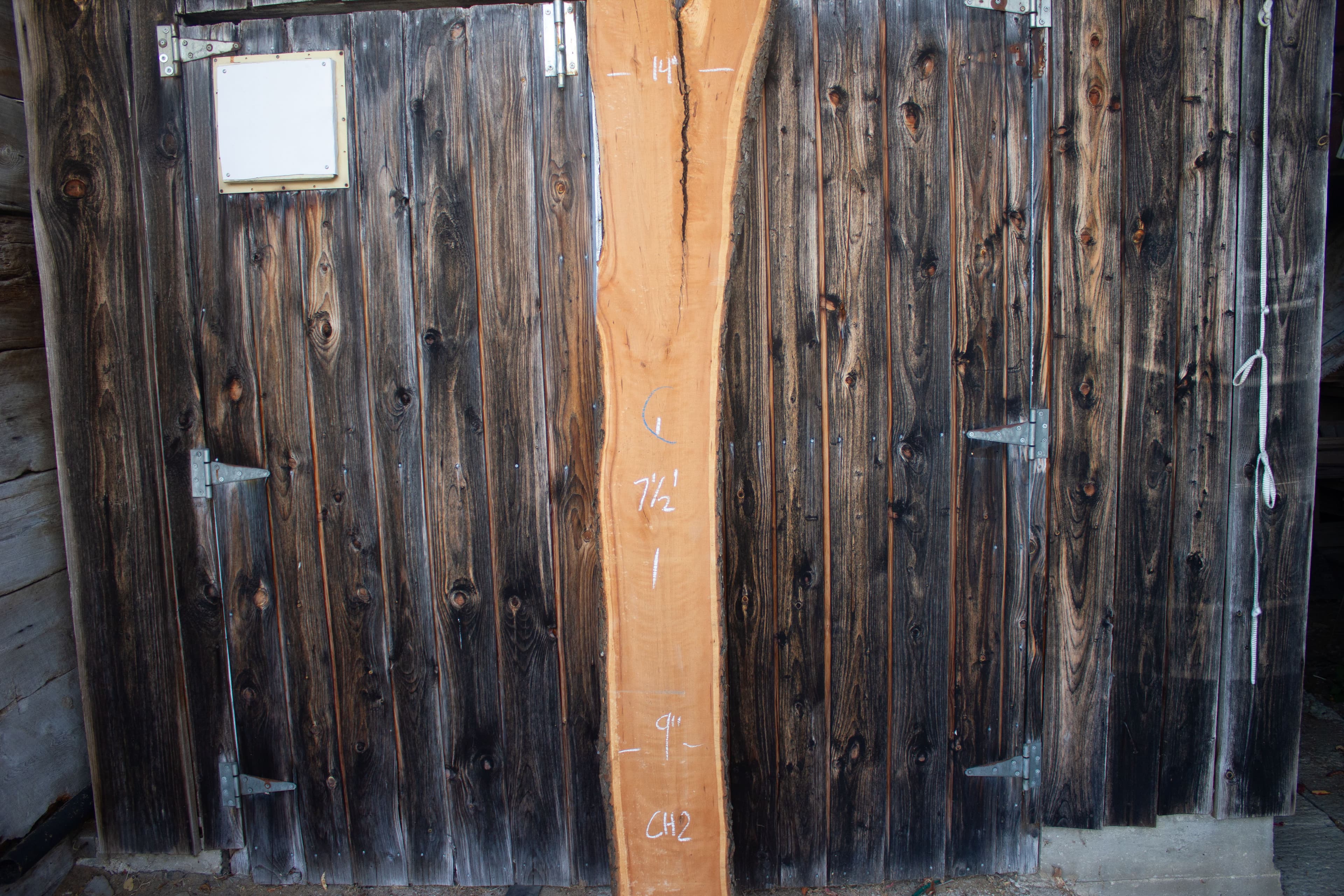 Cherry live edge slab - Cherry Live Edge Slab main view CH02