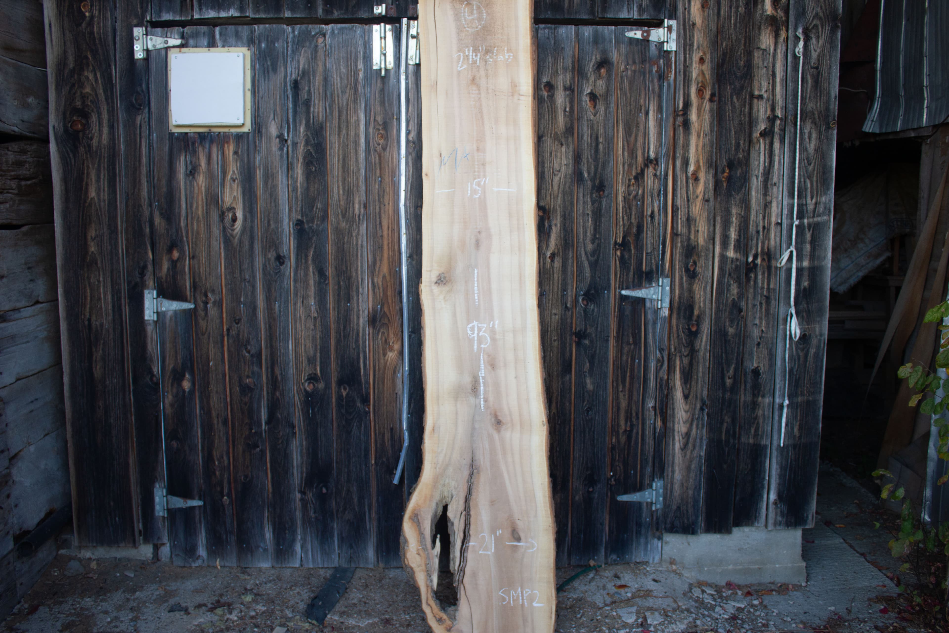 Sugar Maple live edge slab - Sugar Maple Live Edge Slab main view SMP02